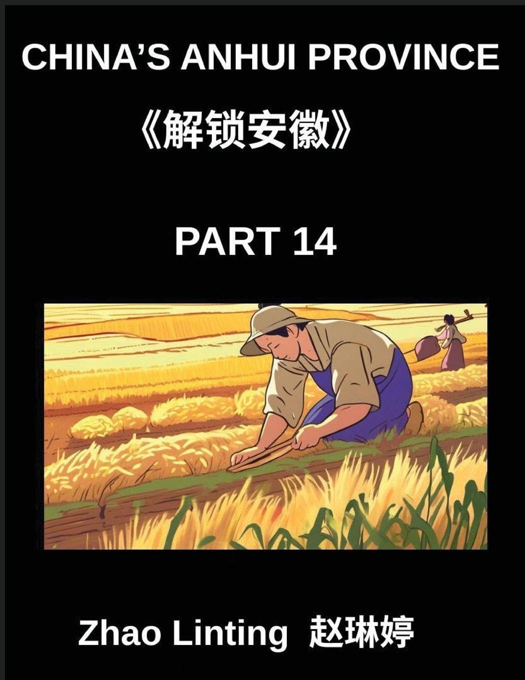 China's Anhui Province (Part 14)- Master Simplified Mandarin Chinese, Characters, Vocabulary, and Sentences, Complete with Virtual Chinese IDs and Mainland Addresses, Showcasing Shen Fen Zheng for All Ethnic Groups, with Pinyin, English, and HSK Level Gui Contemporary literature Books