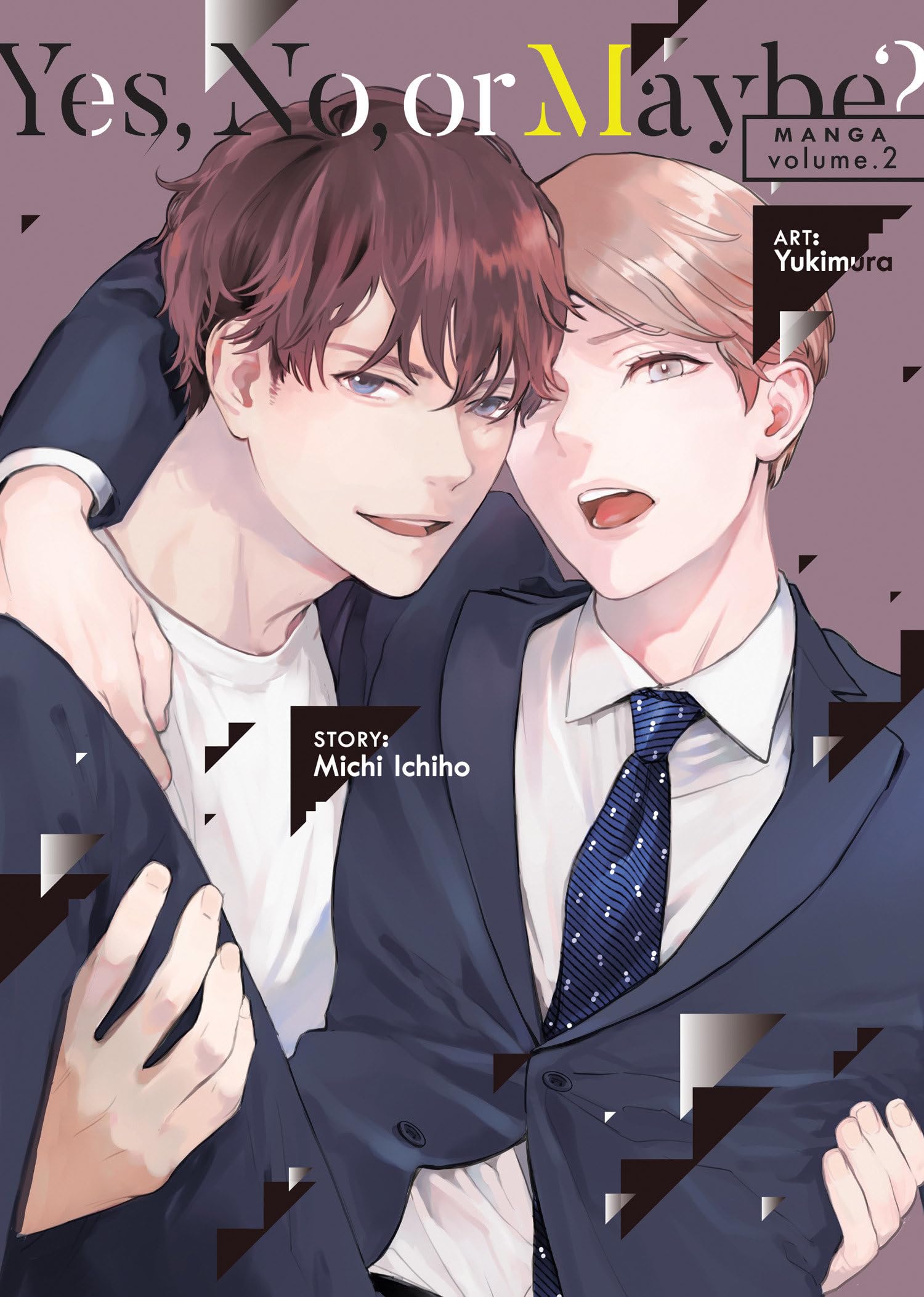 Yes, No, or Maybe? (Manga) Vol. 2 book