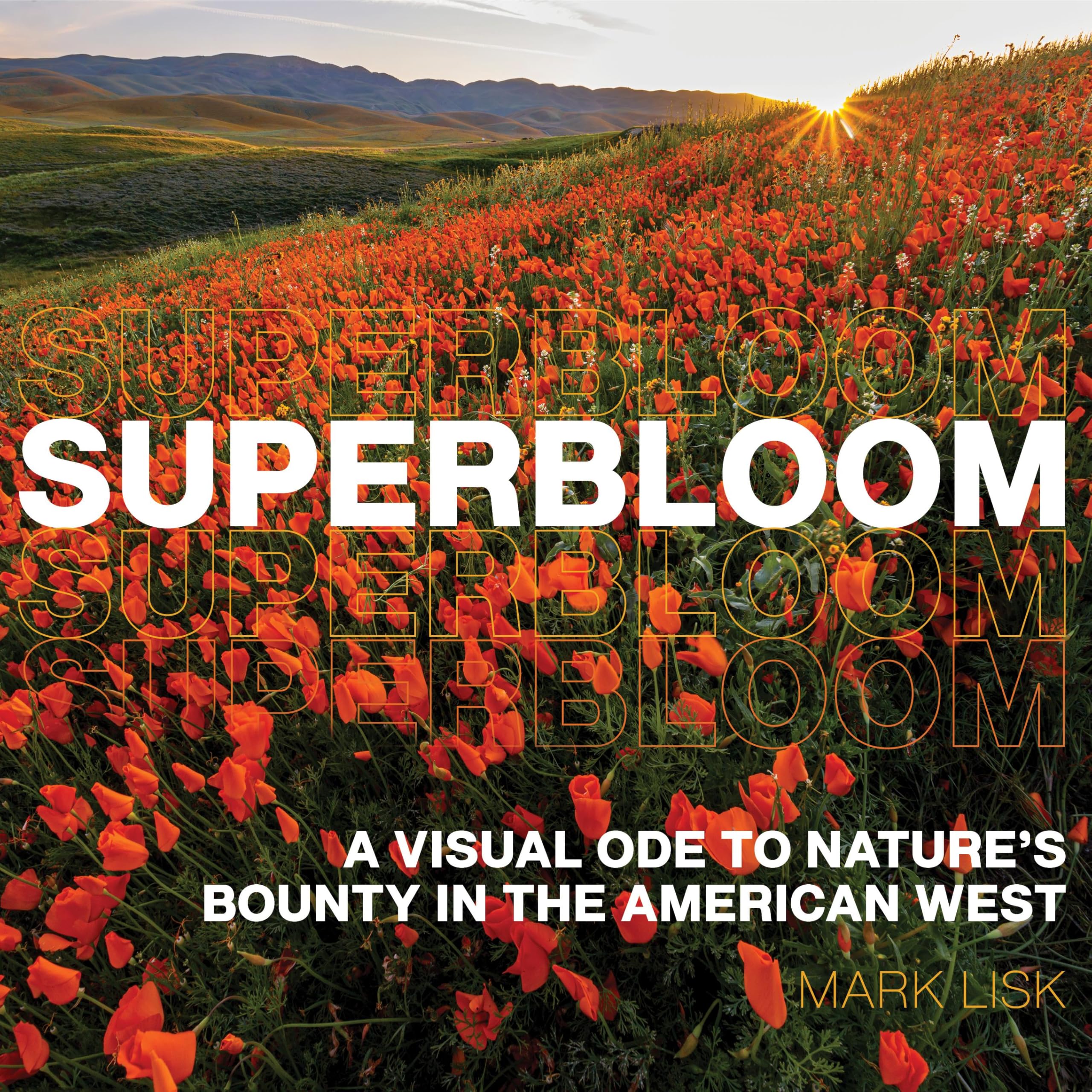 Superbloom: A Visual Ode to Nature's Bounty in the American West Photography