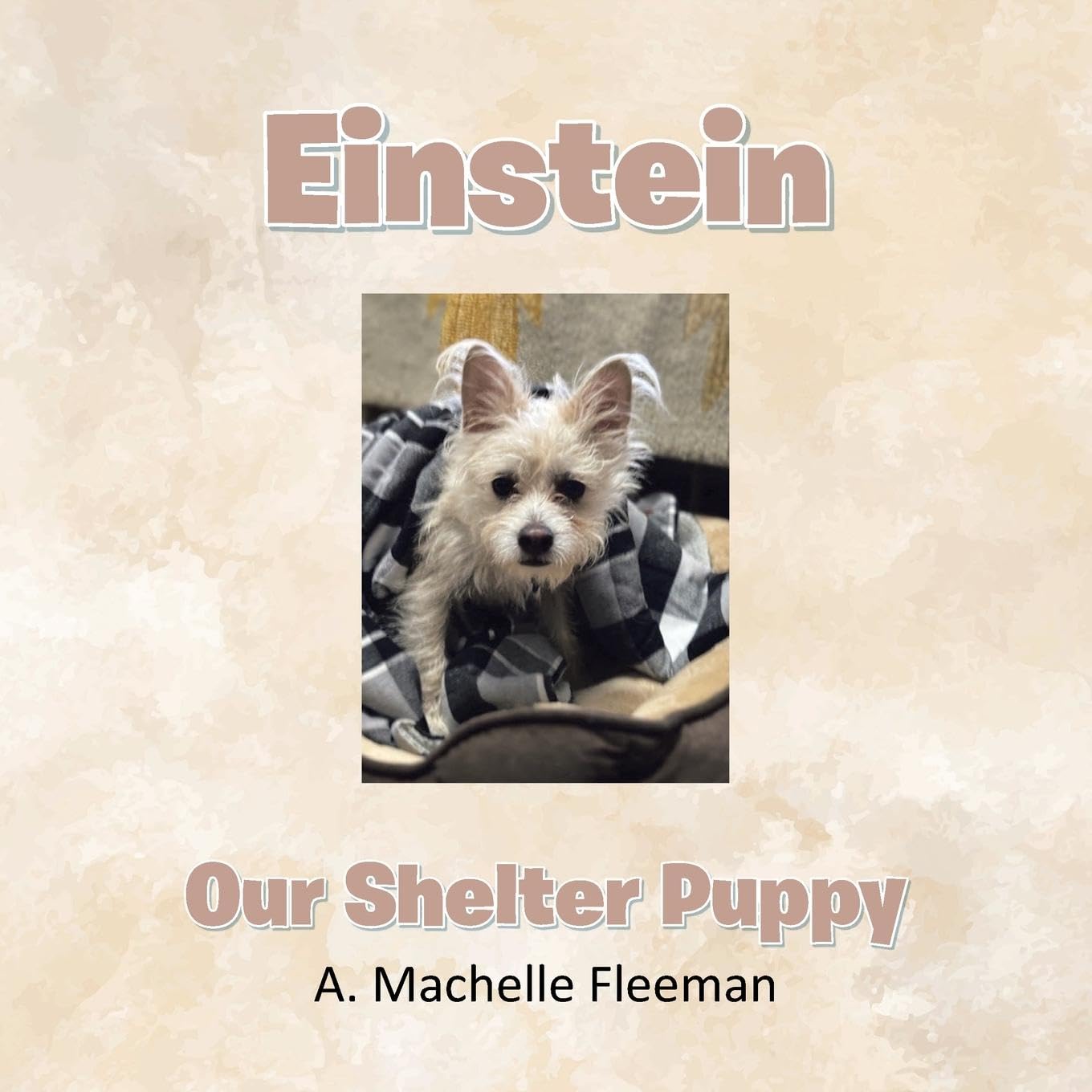 Product Image: Einstein - Our Shelter Puppy