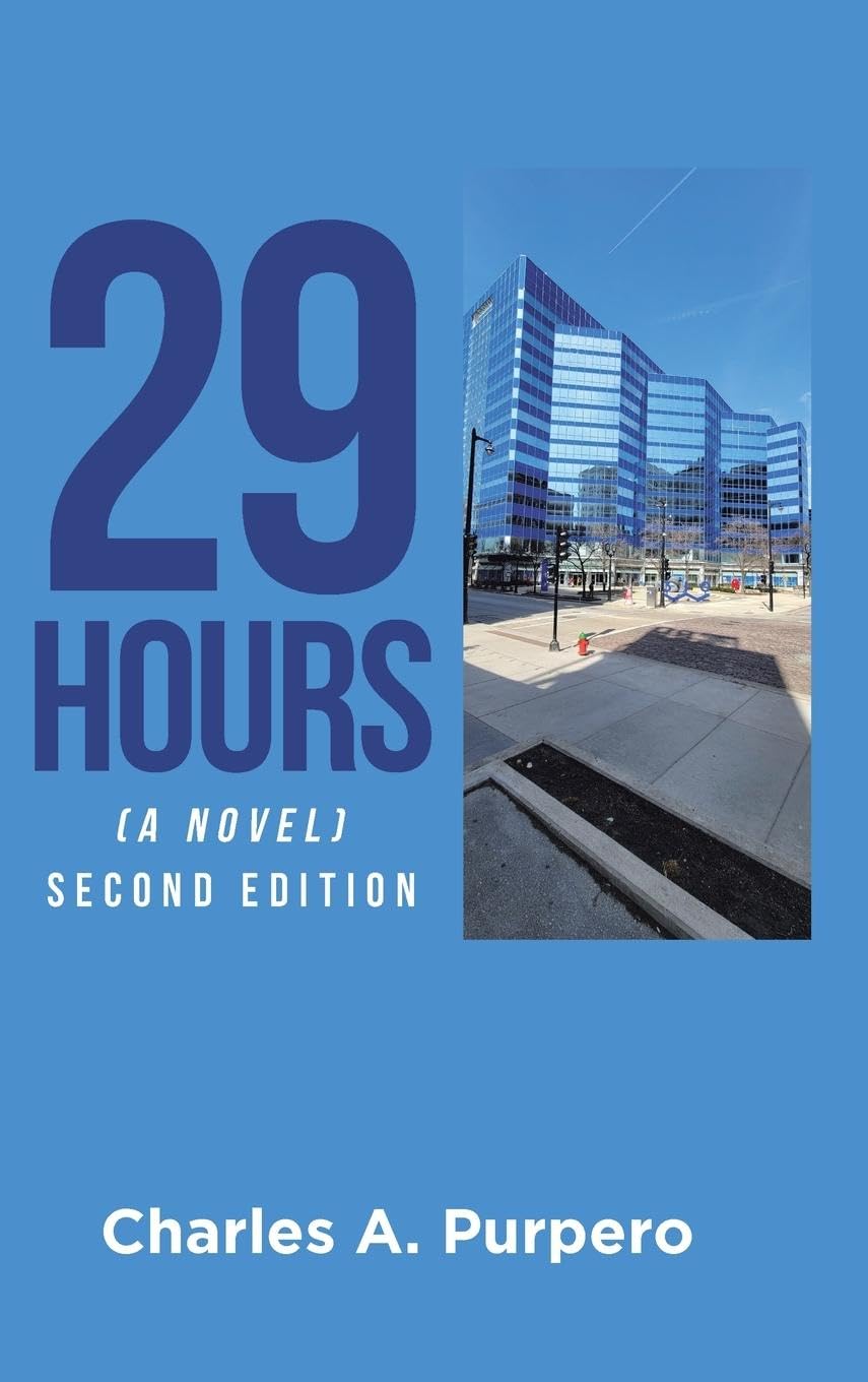 Product Image: 29 Hours (A Novel)