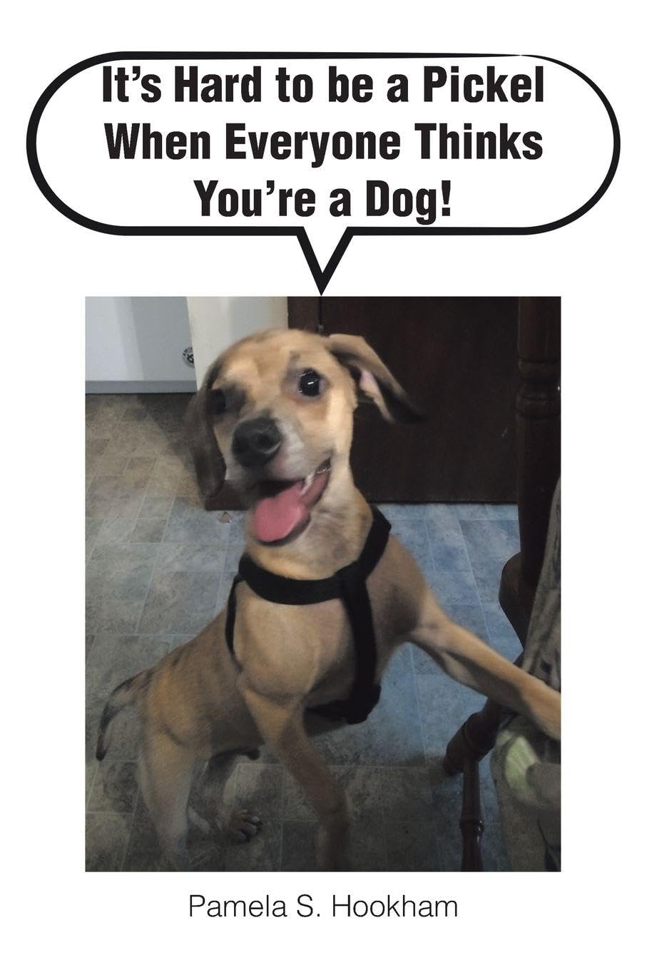 It's Hard to be a Pickel When Everyone Thinks You're a Dog! Religion & Esotericism