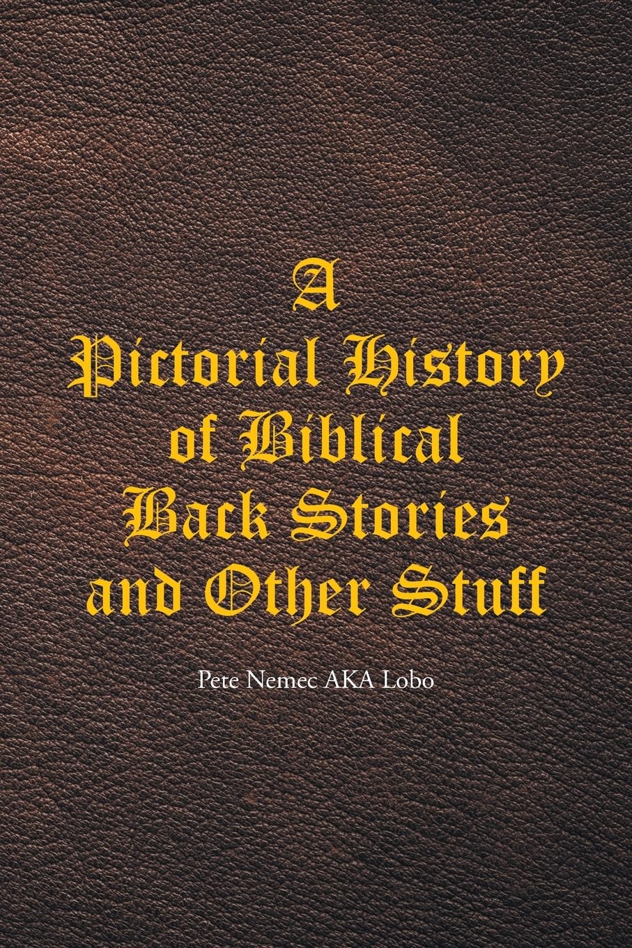 A Pictorial History of Biblical Back Stories and Other Stuff Contemporary literature