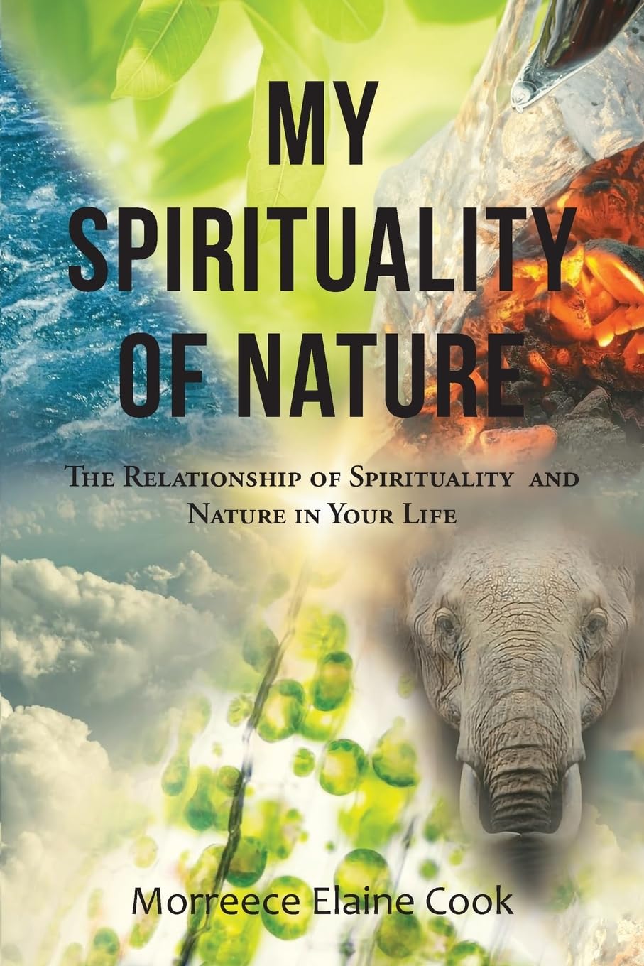 My Spirituality of Nature Religion & Esotericism