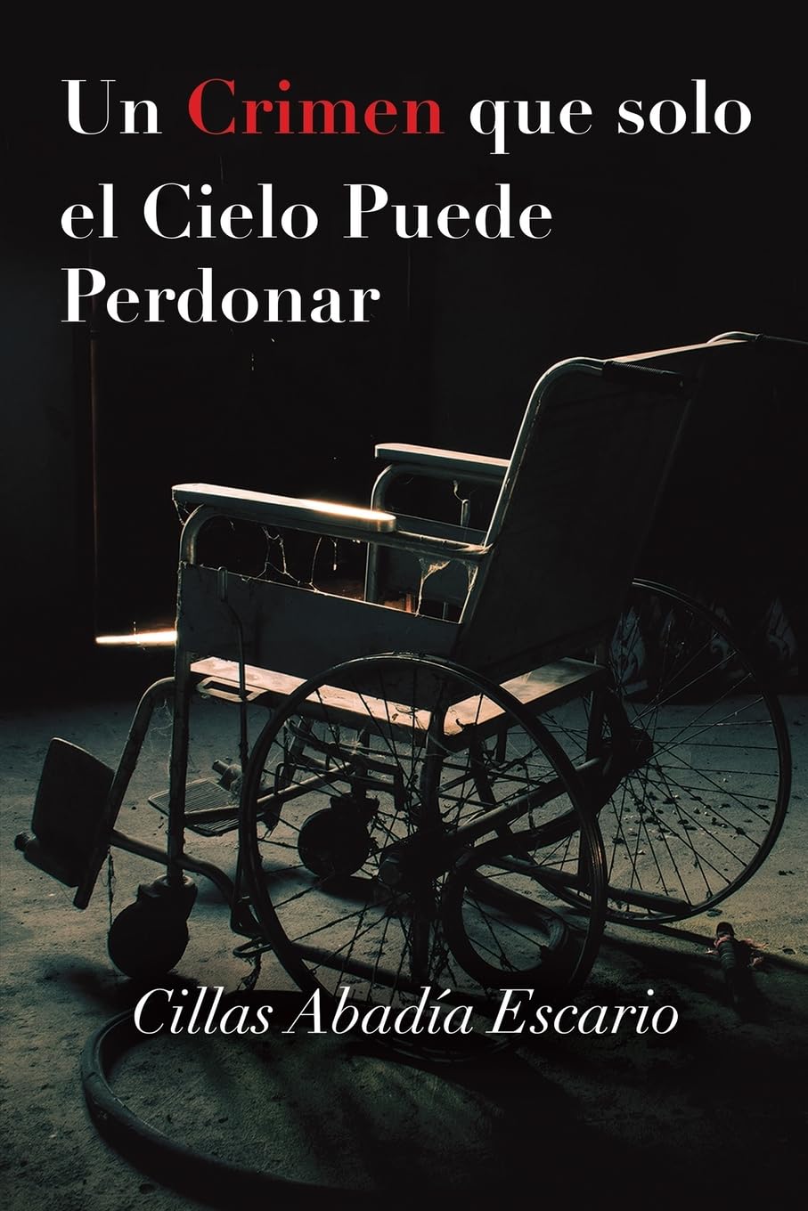 Un Crimen que solo el Cielo Puede Perdonar Contemporary literature