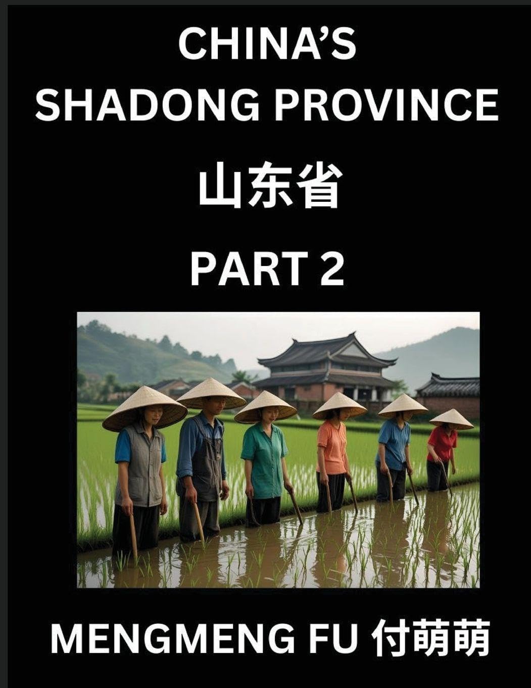 Discover China's Shandong Province (Part 2)- Self-learn Chinese Characters, Words, Phrases with Chinese Names, Surnames and Geography, Books for Kids, Young and Adults, HSK All Levels to Understand Chinese Geographical Organization Contemporary literature Books