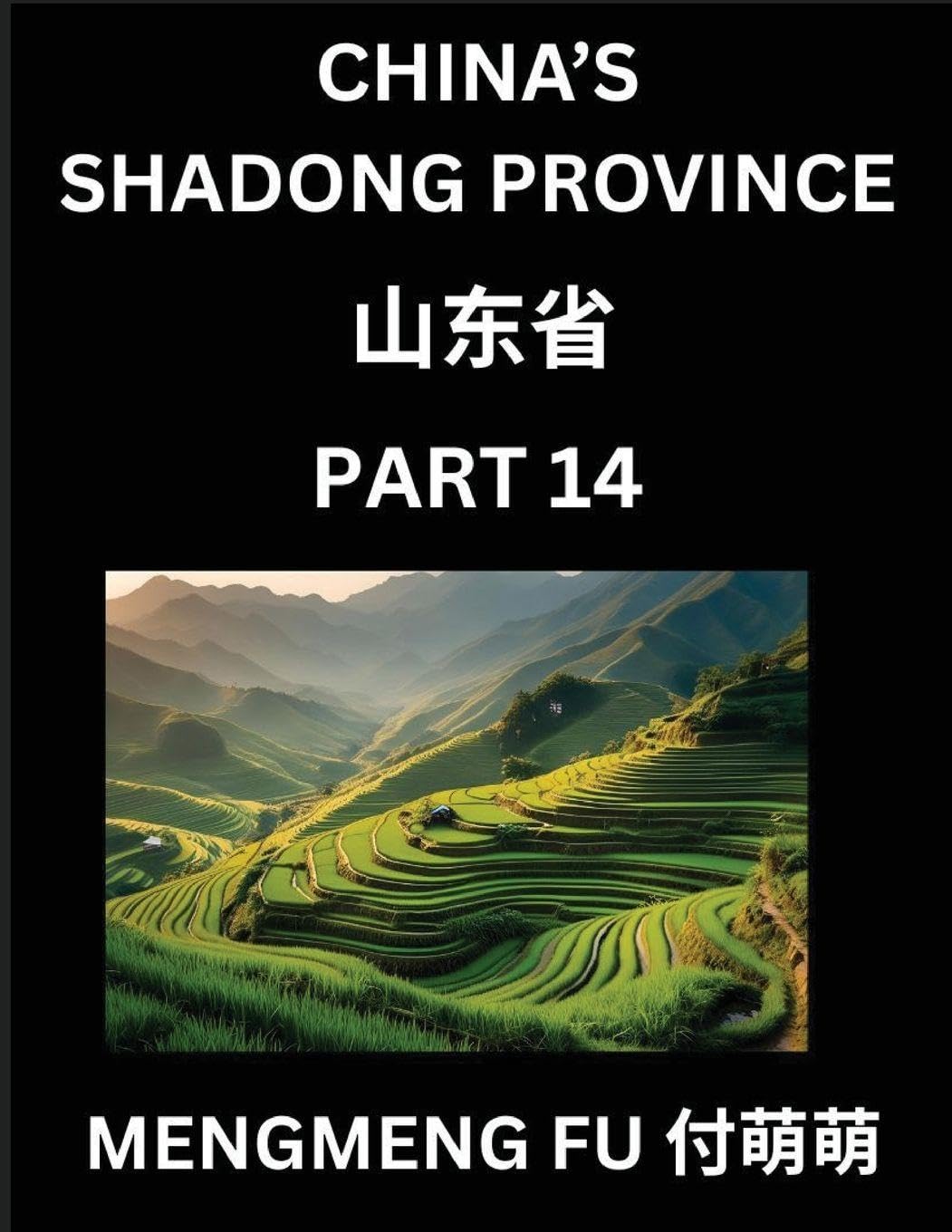 Discover China's Shandong Province (Part 14)- Self-learn Chinese Characters, Words, Phrases with Chinese Names, Surnames and Geography, Books for Kids, Young and Adults, HSK All Levels to Understand Chinese Geographical Organization Foreign Languages ​​& Dictionaries