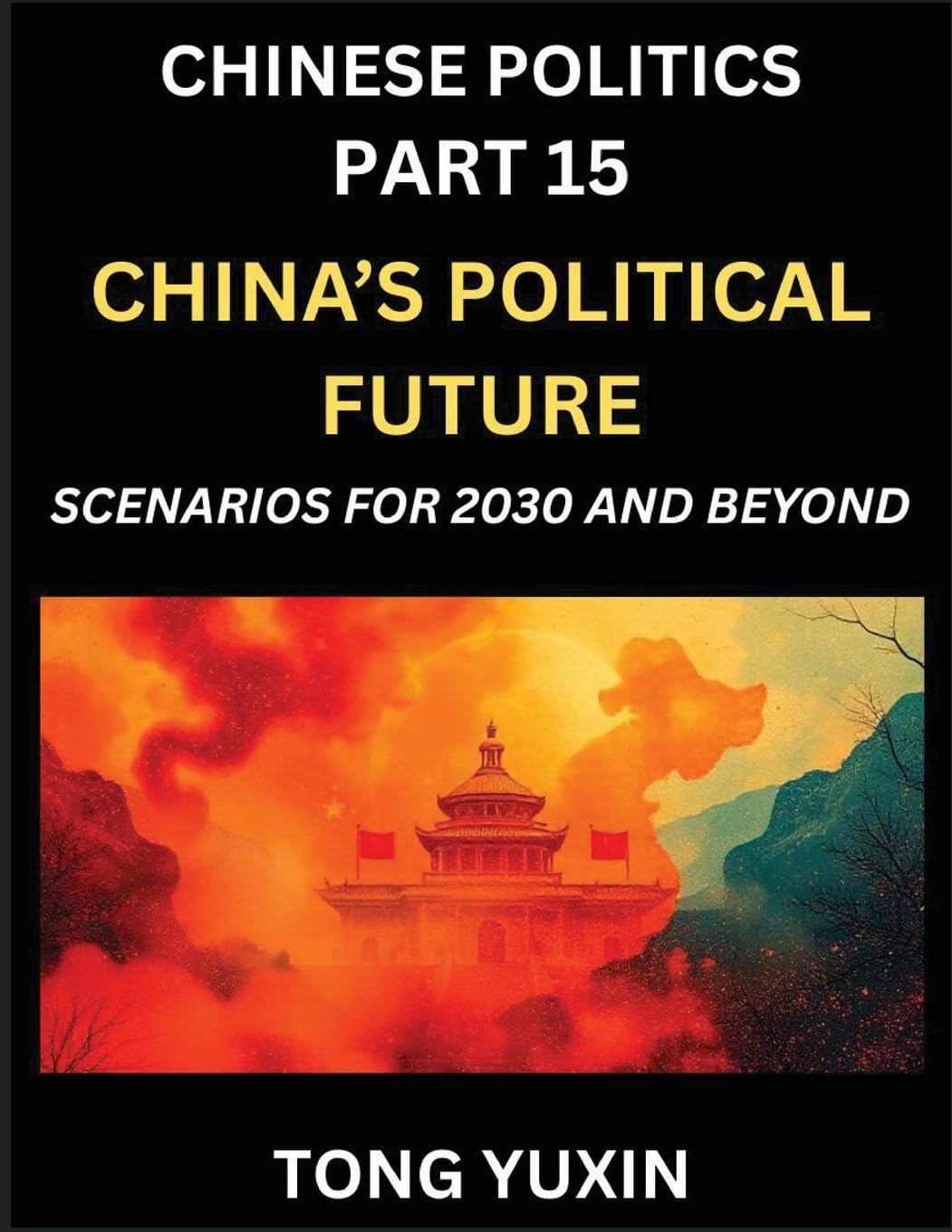 Chinese Politics (Part 15)- China's Political Future, Scenarios for 2030 and Beyond, Demographic, Technological, and Global Pathways in an Age of Disruption and the New Global Order Contemporary literature Books