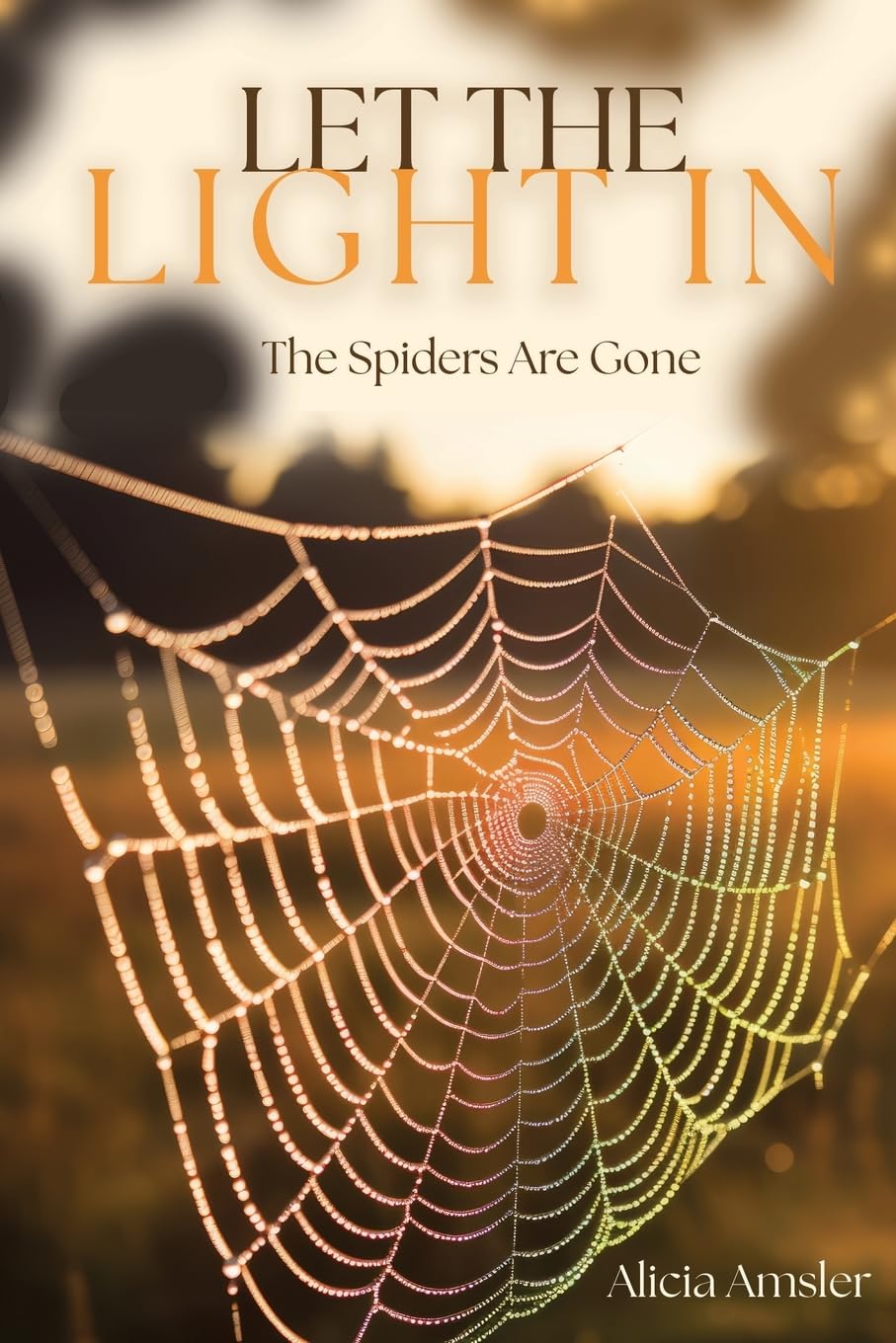 Product Image: Let the Light In