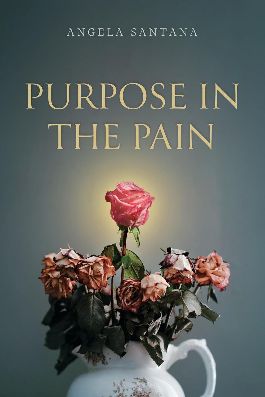 Purpose in the Pain Business, Finance & Career