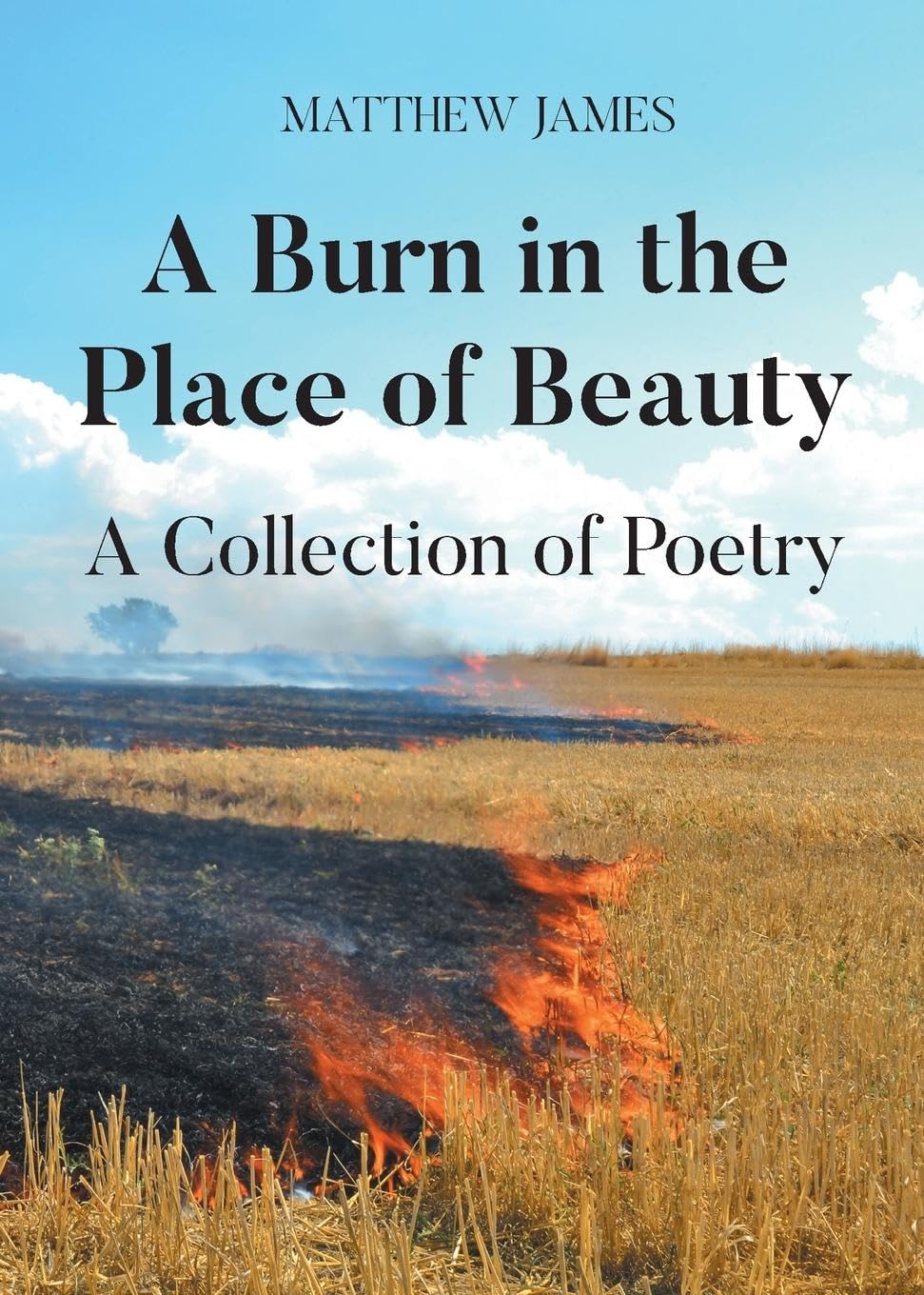 A Burn in the Place of Beauty Poetry