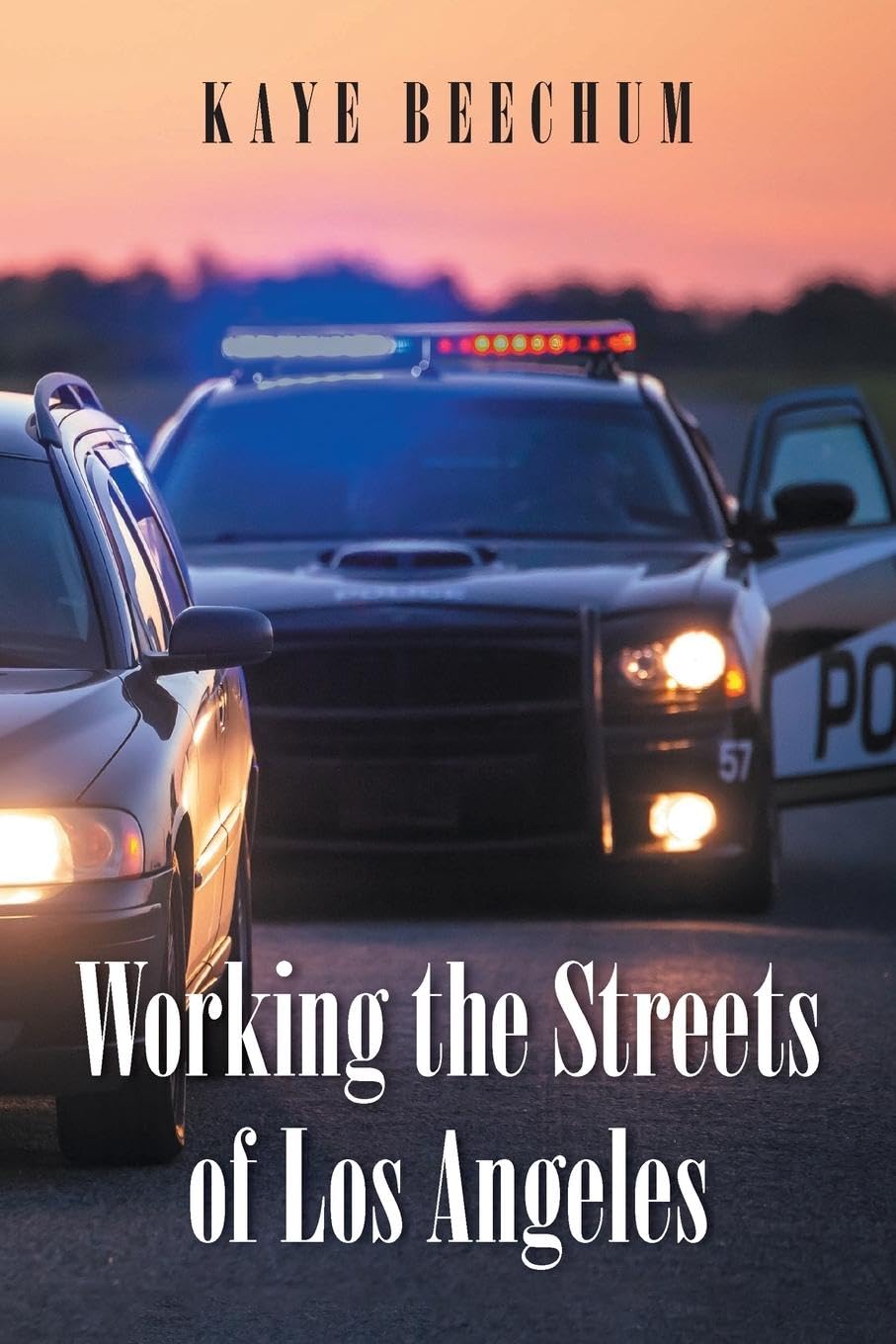Working the Streets of Los Angeles Social Sciences