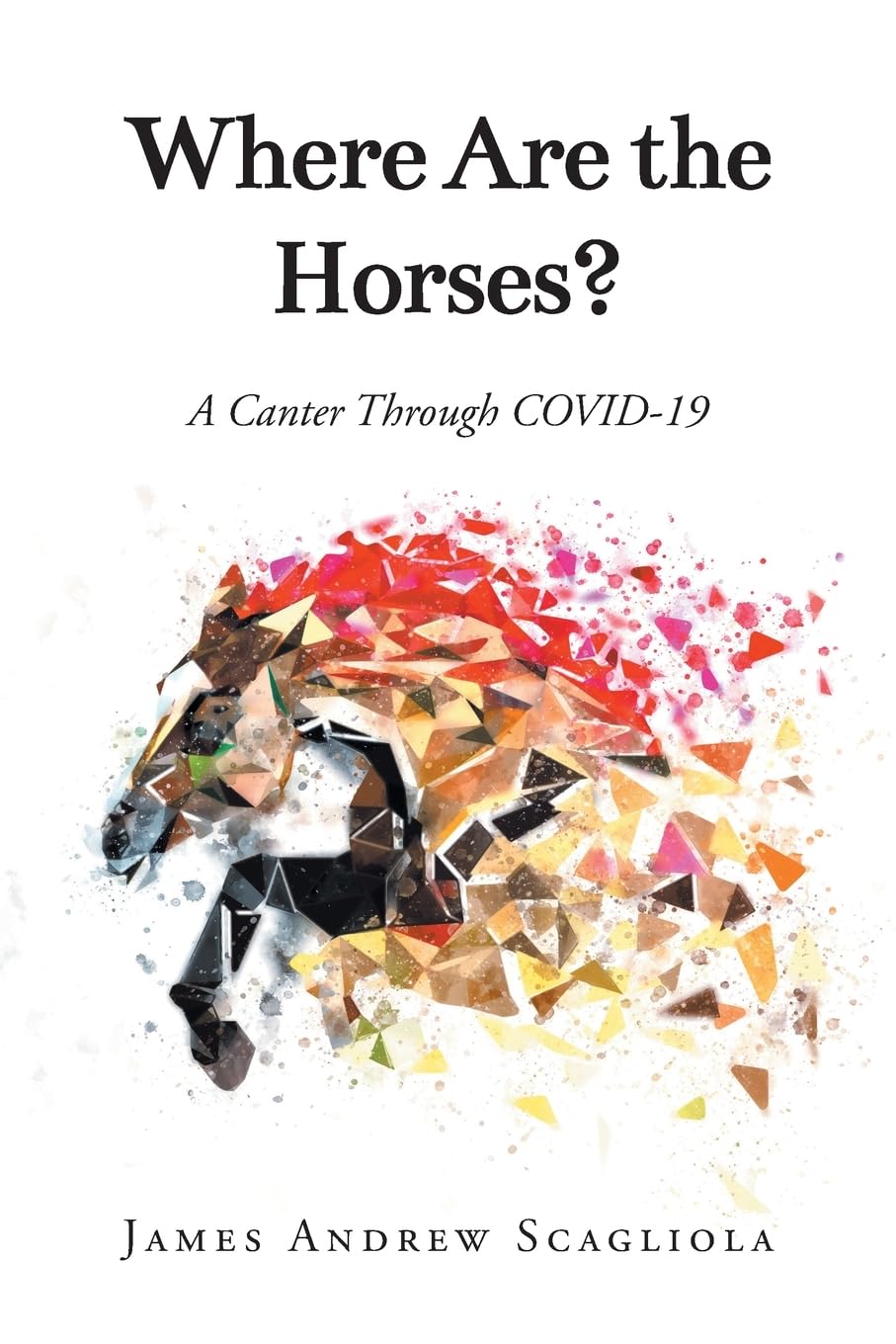 Where Are the Horses? Philosophy