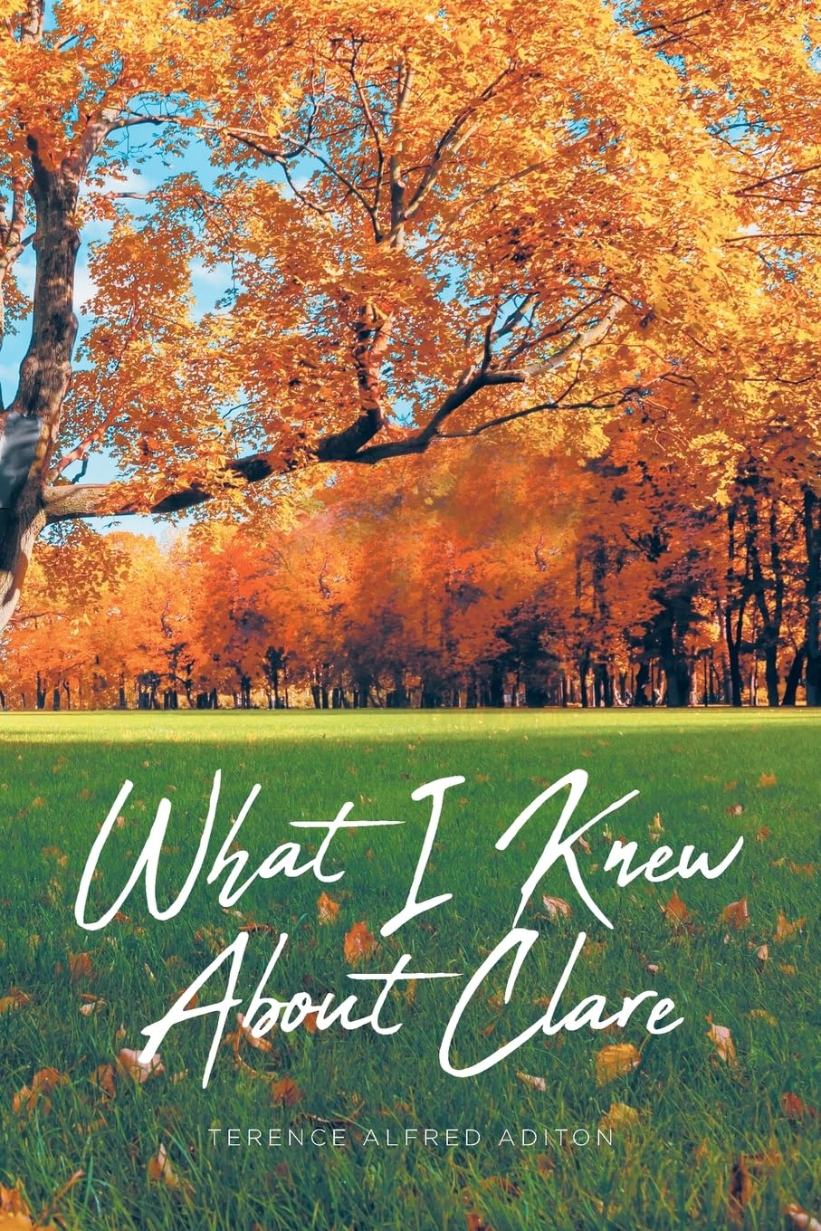 What I Knew About Clare Religion & Esotericism