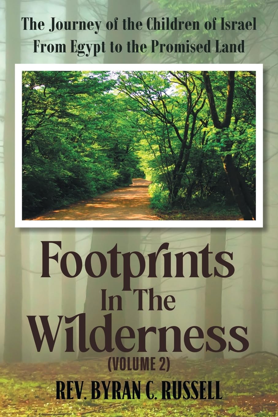 Footprints in the Wilderness (Volume 2) Business, Finance & Career
