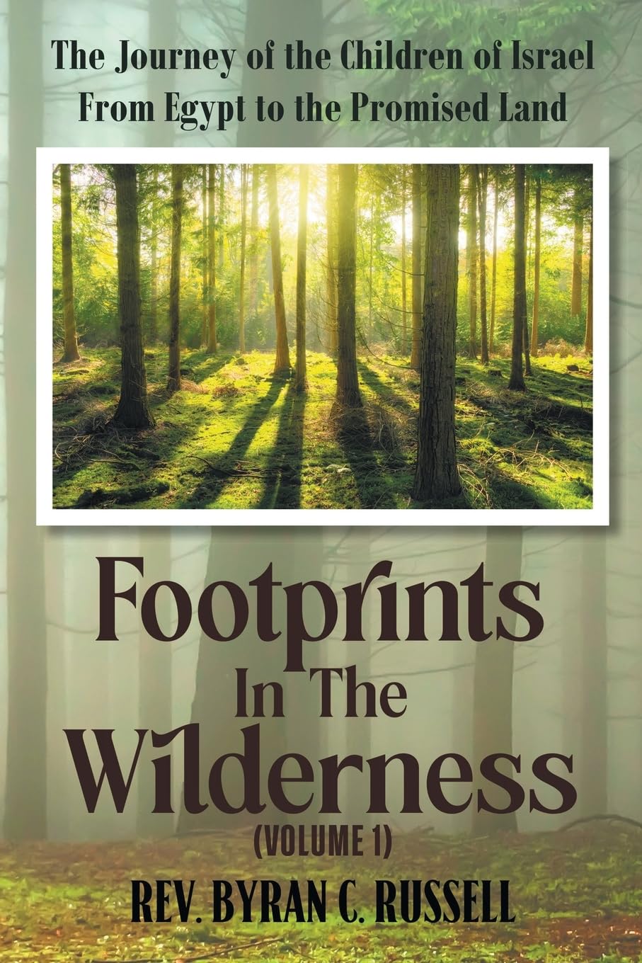 Footprints in the Wilderness (Volume 1) Business, Finance & Career