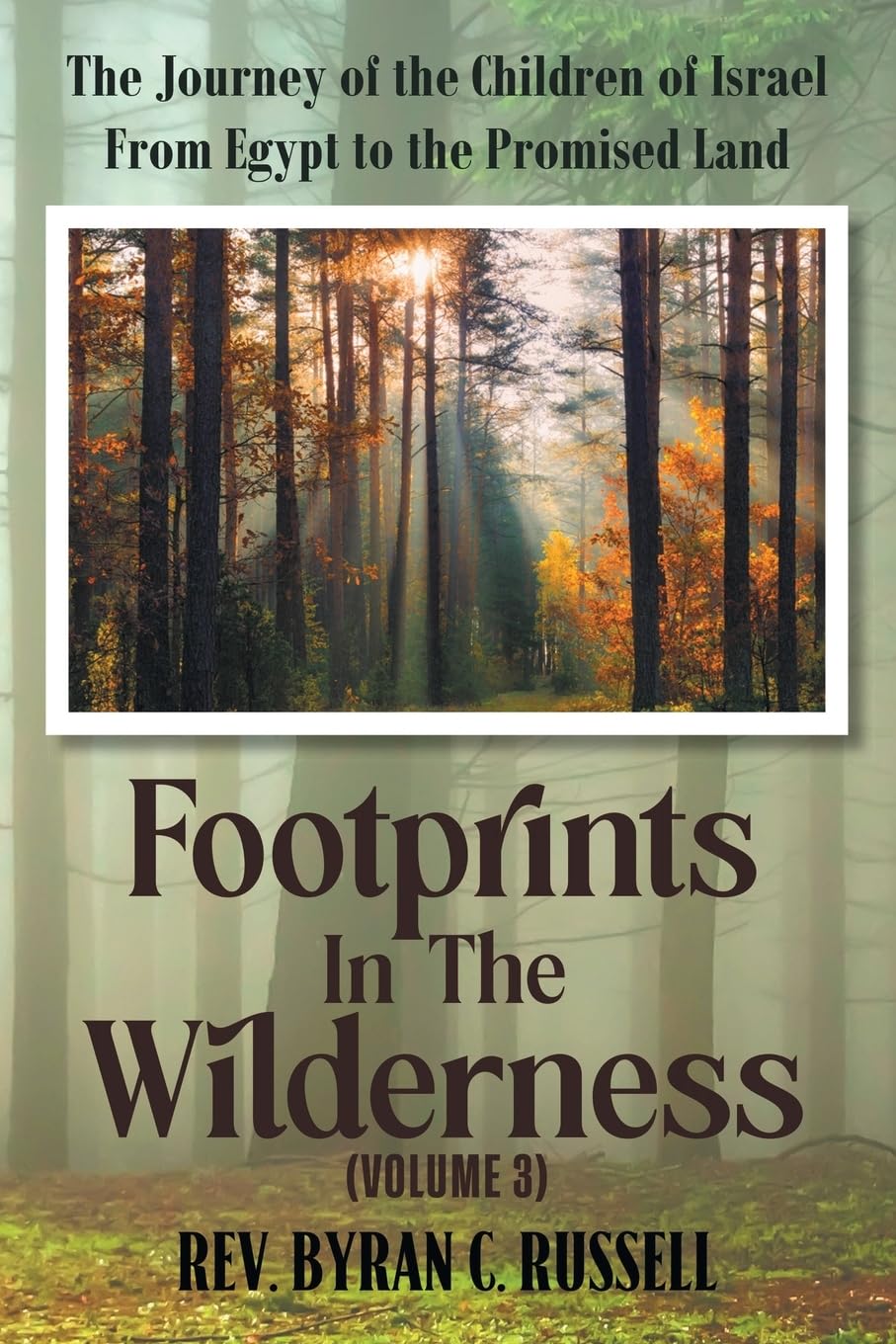 Footprints in the Wilderness (Volume 3) Business, Finance & Career