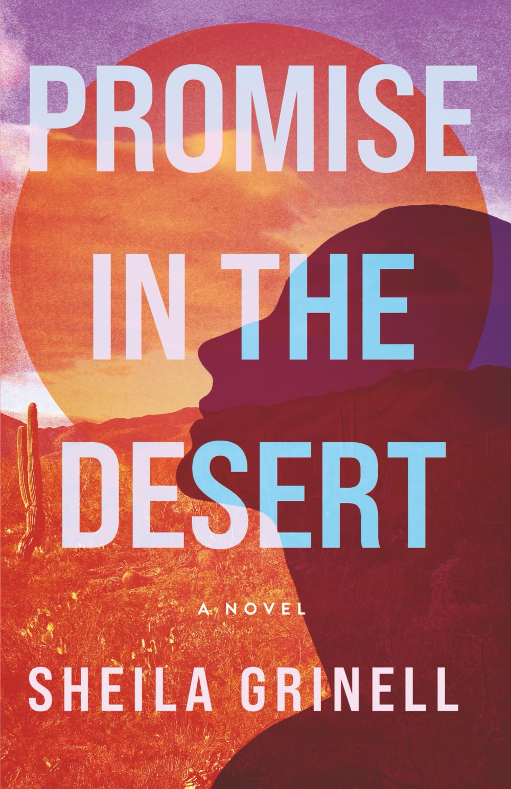 Promise in the Desert Contemporary literature