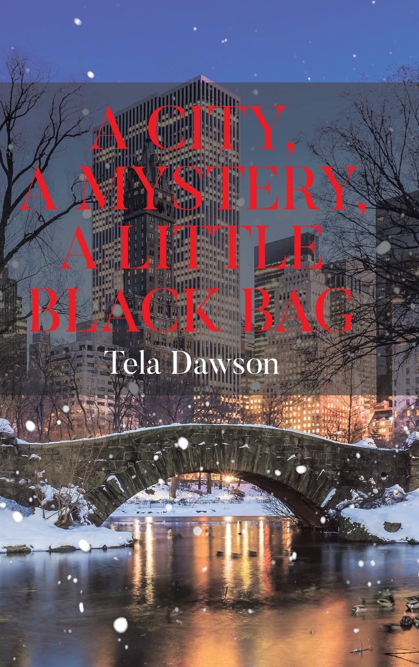 A City, a Mystery, a Little Black Bag Contemporary literature