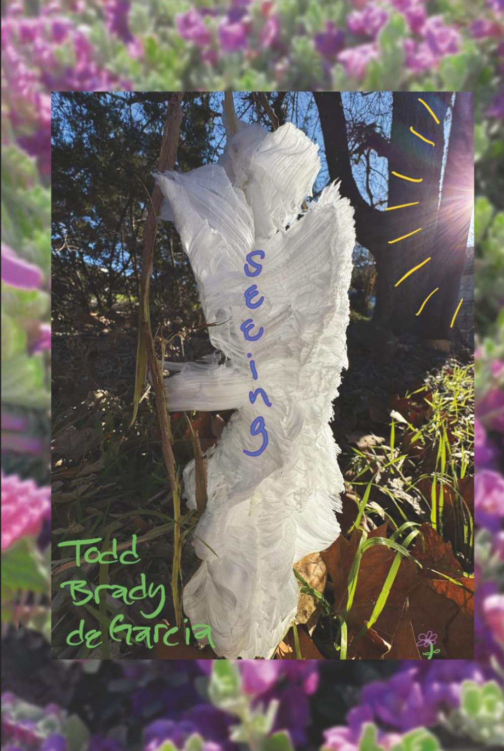 Product Image: Seeing
