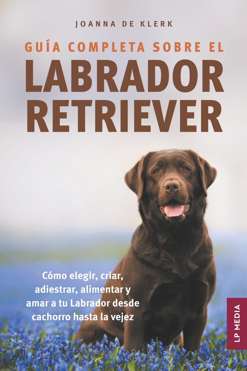 Guía completa sobre el Labrador Retriever Pets