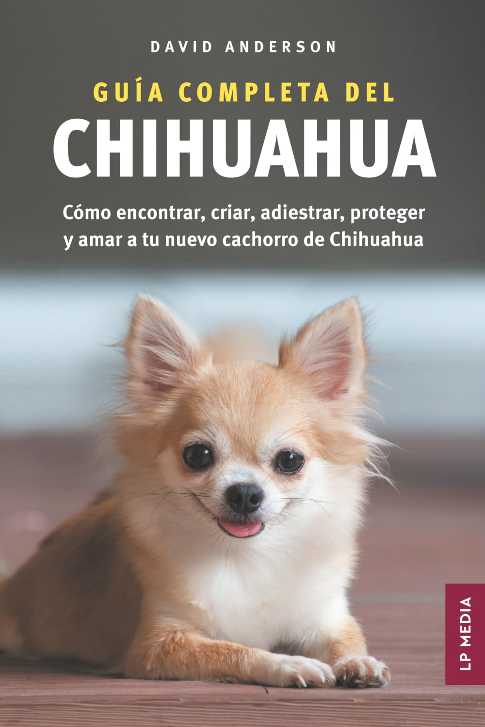 Guía Completa del Chihuahua Pets