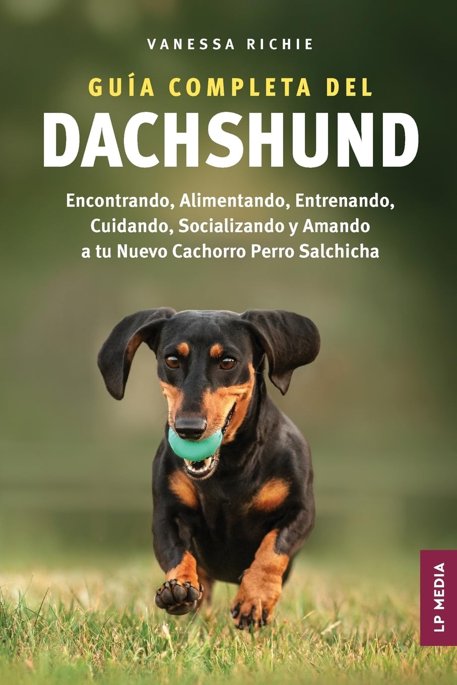 Guía completa del Dachshund Pets