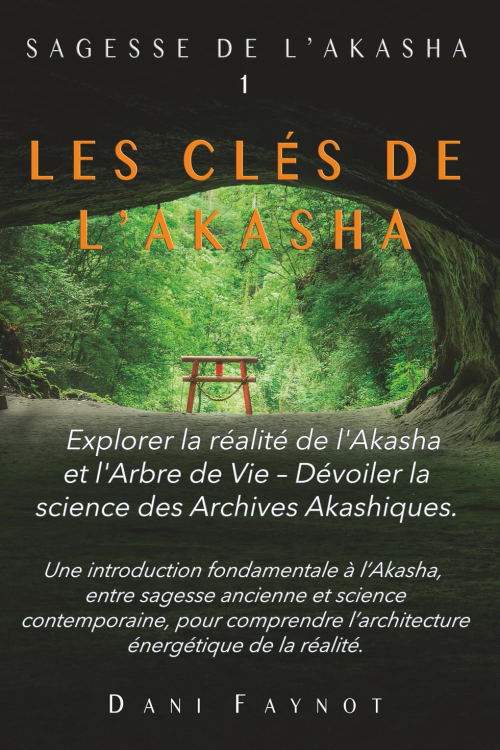 LES CLÉS DE L’AKASHA: Explorer la réalité de l'Akasha et l'Arbre de Vie – Dévoiler la science des Archives Akashiques book