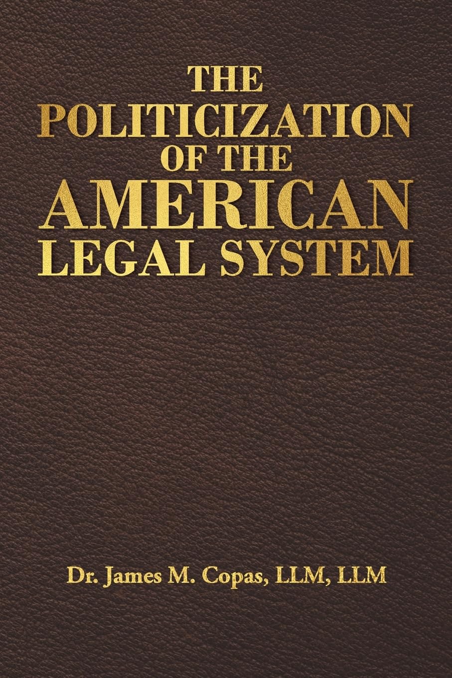 The Politicization of the American Legal System Law