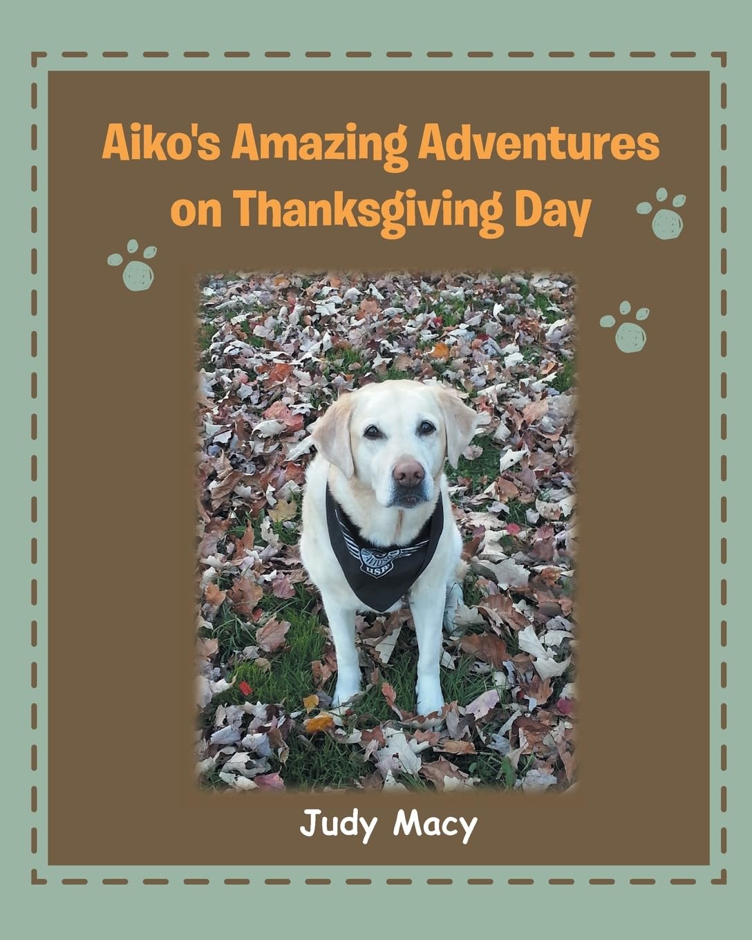 Aiko's Amazing Adventures on Thanksgiving Day Novels & Short Stories