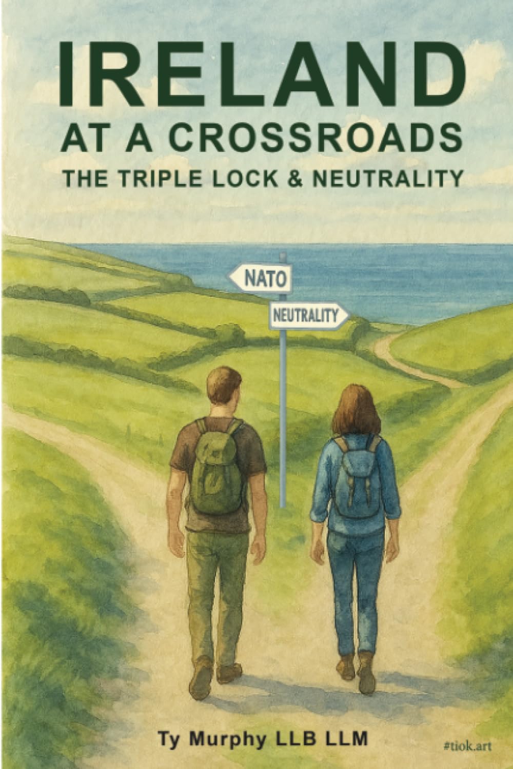 Product Image: Ireland at a Crossroads
