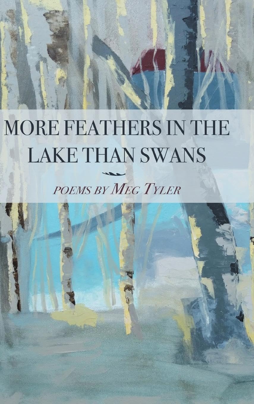More Feathers in the Lake Than Swans Poetry
