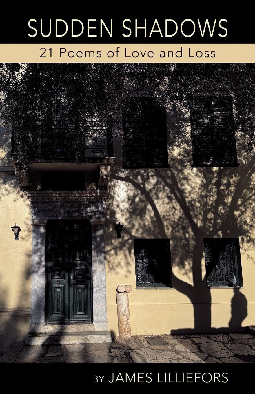 SUDDEN SHADOWS 21 Poems of Love and Loss Poetry