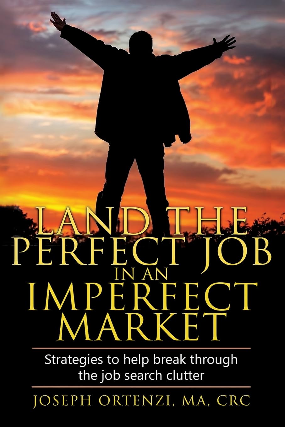 Land the Perfect Job in an Imperfect Market Memories