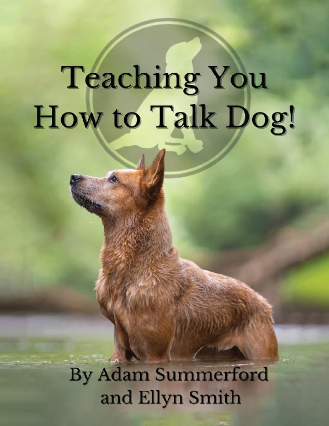 Teaching You How To Talk Dog! Pets