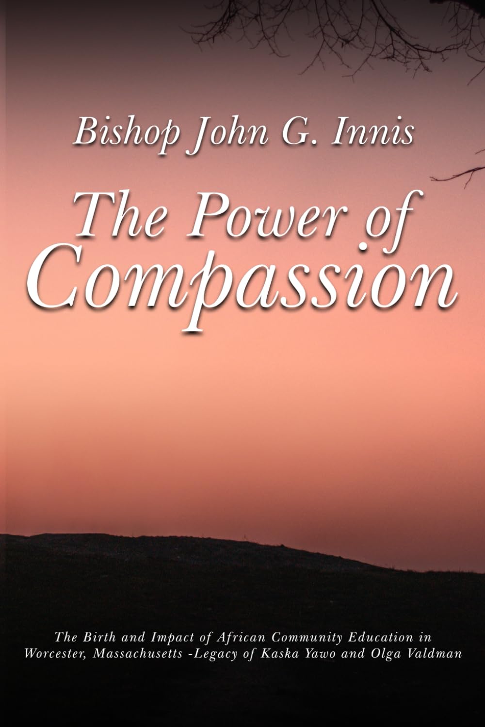 The Power of Compassion Religion & Esotericism