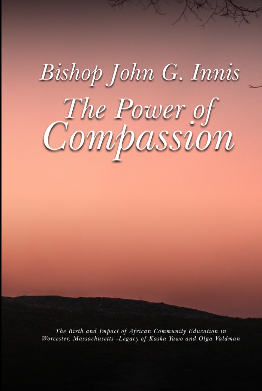 The Power of Compassion Religion & Esotericism