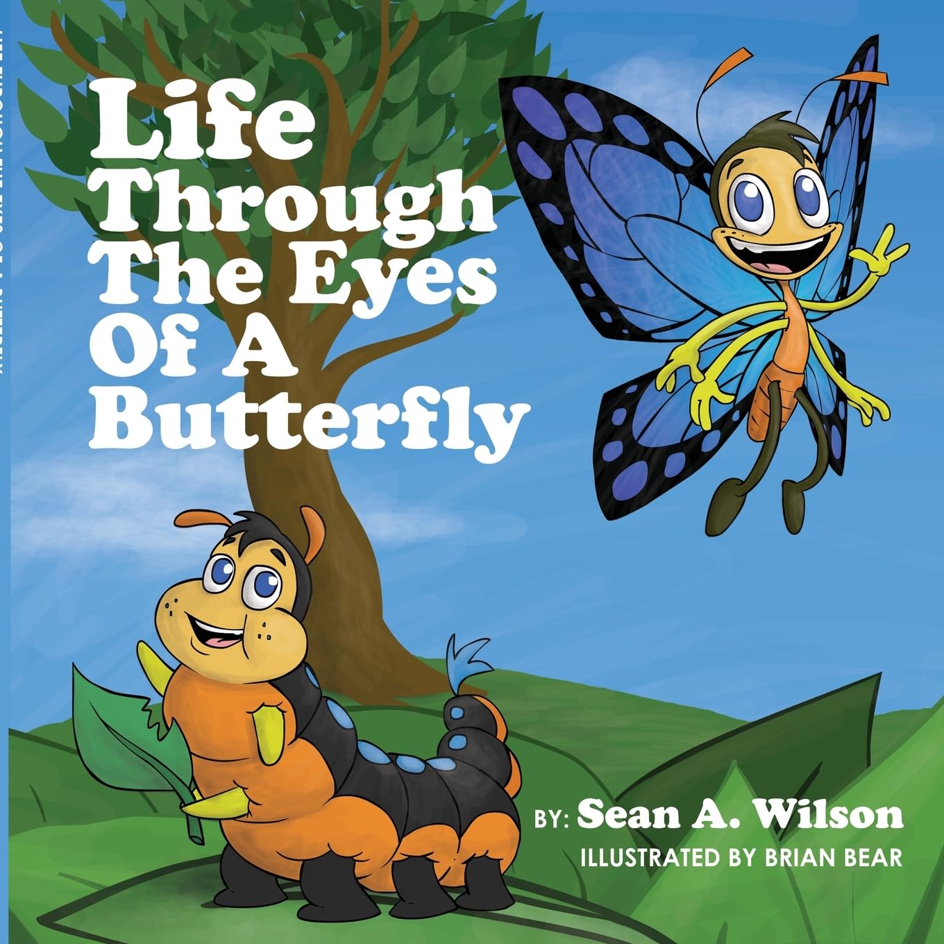 Life Through the Eyes of a Butterfly Non-fiction
