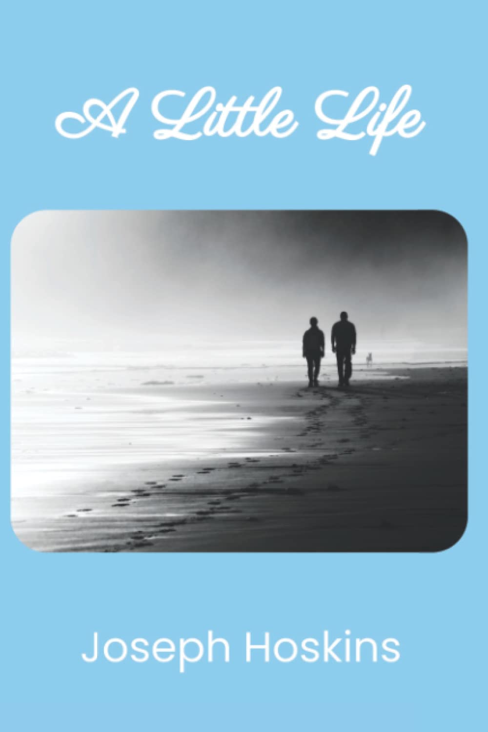 Product Image: A Little Life