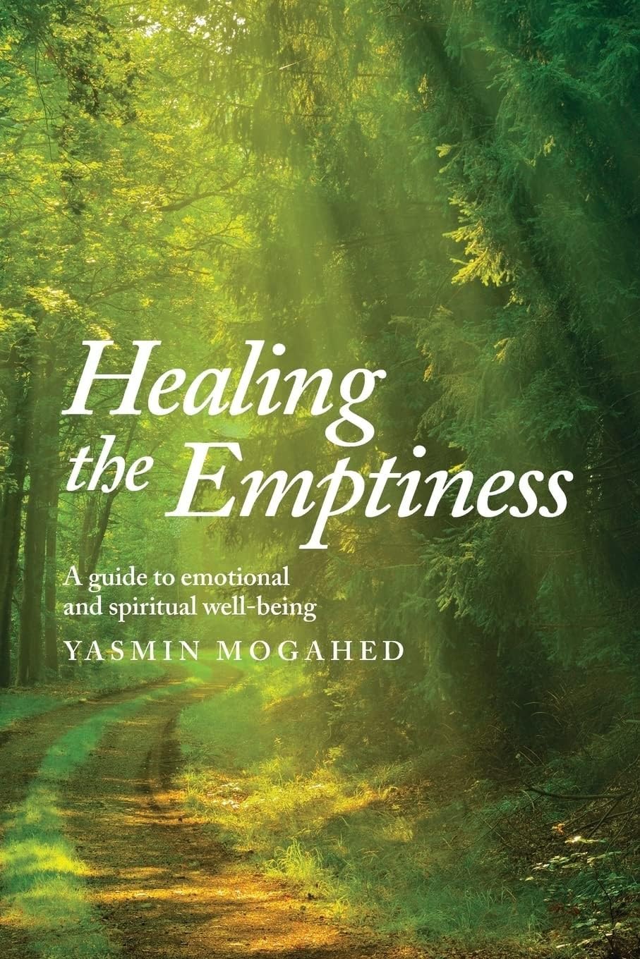 Healing the Emptiness: A guide to emotional and spiritual well-being Business, Finance & Career