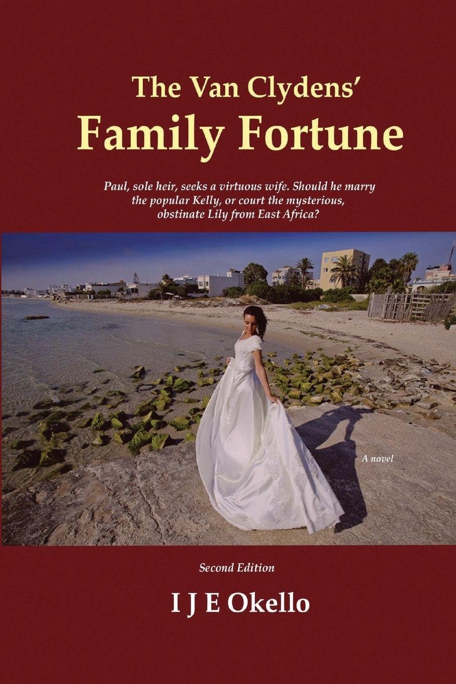 The Van Clydens' Family Fortune Contemporary literature