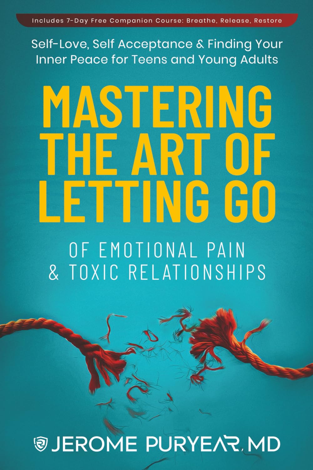 Mastering the Art of Letting Go of Emotional Pain and Toxic Relationships Business, Finance & Career