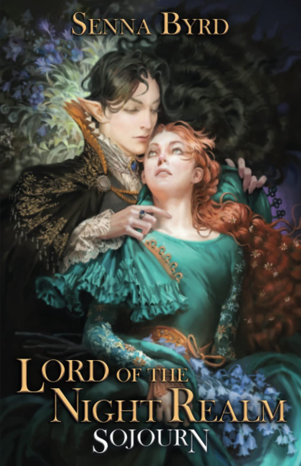 Lord of the Night Realm: Book I - Sojourn book