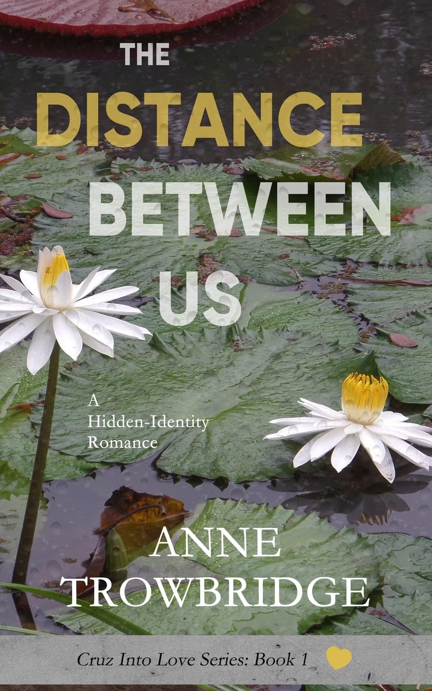 The Distance Between Us: A Hidden-Identity Romance (Cruz Into Love, Band 1) Contemporary literature