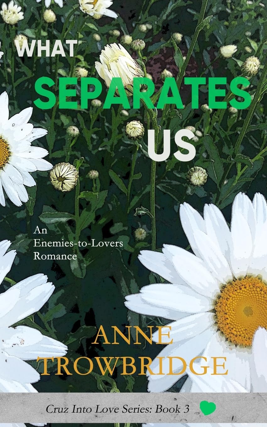 What Separates Us: An Enemies-to-Lovers Romance book