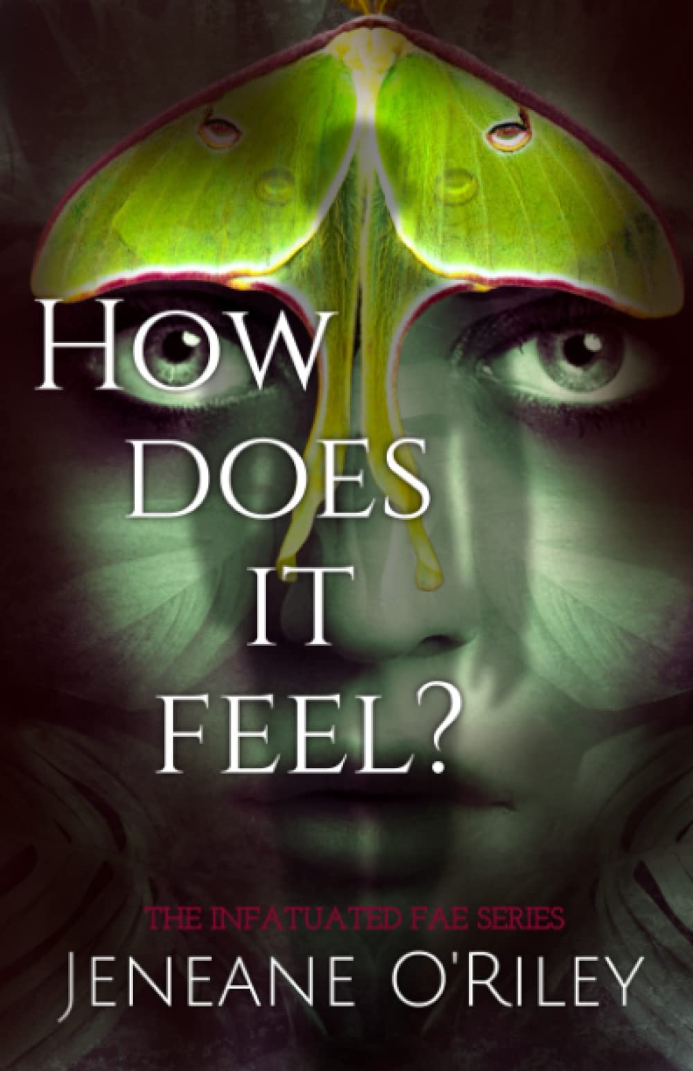 How does it feel?: Infatuated fae book 1 book
