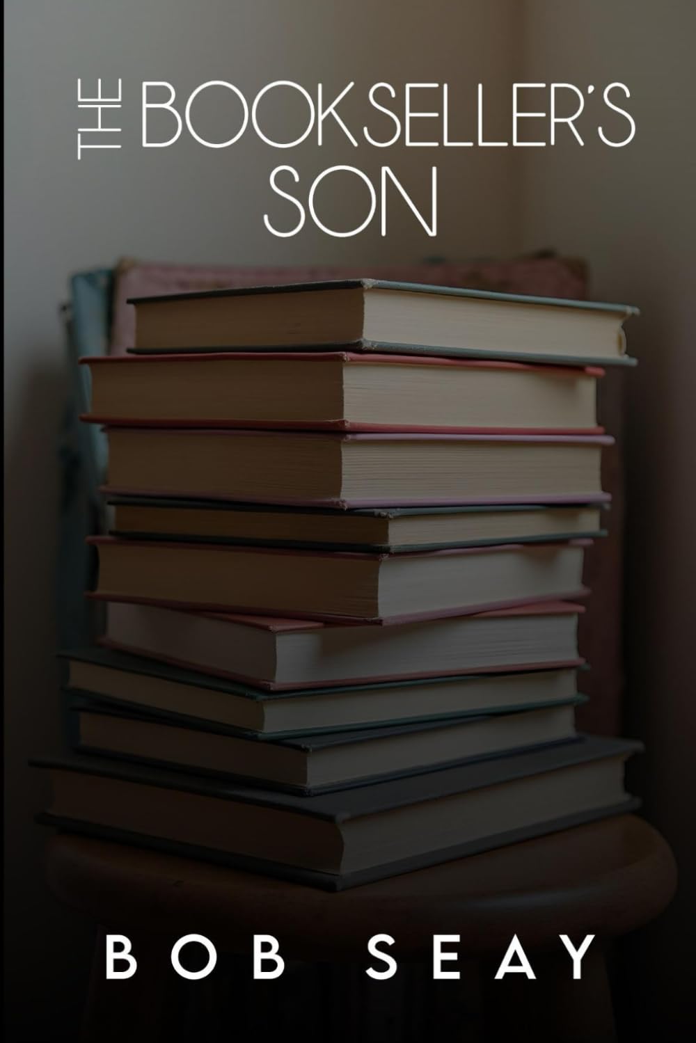 The Bookseller's Son Contemporary literature