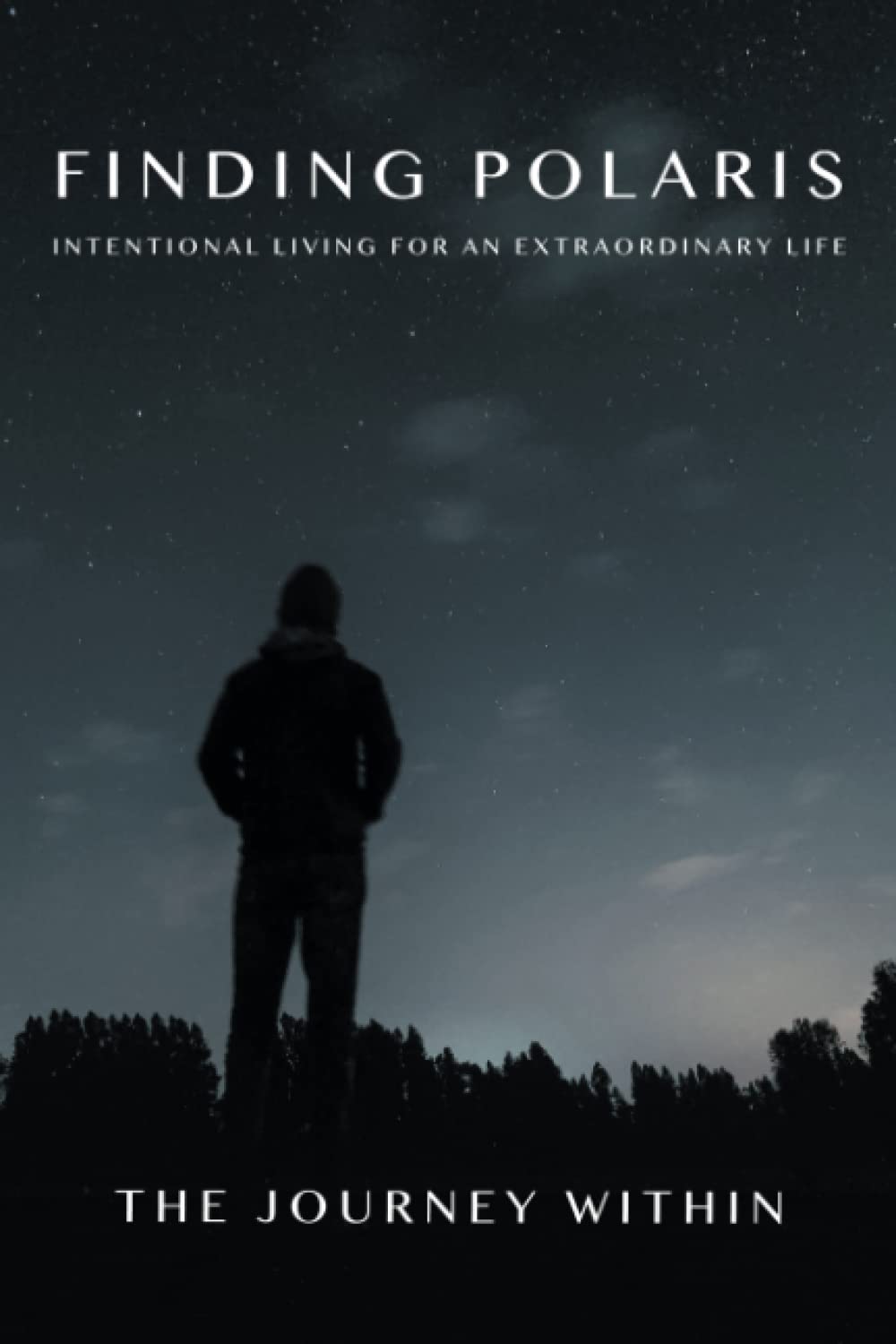 Finding Polaris: Intentional Living for an Extraordinary Life: The Journey Within Self-help