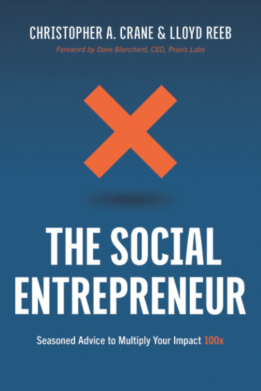 The Social Entrepreneur: Seasoned Advice to Multiply Your Impact 100x Business, Finance & Career
