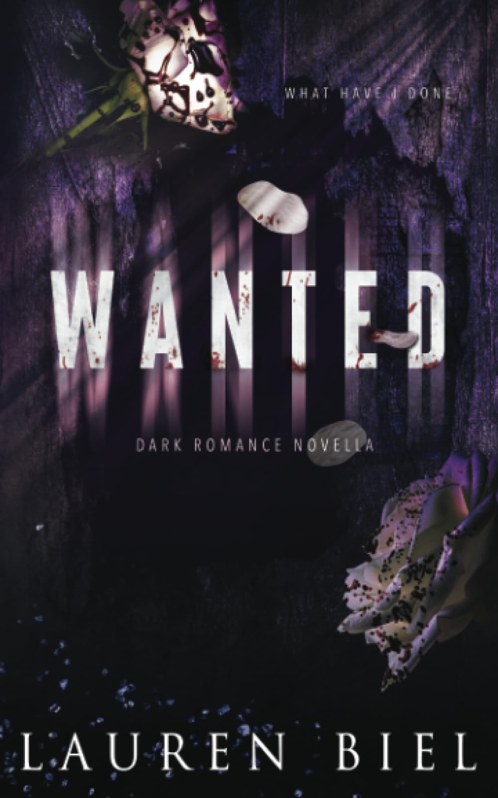 Wanted: a dark romance novella book